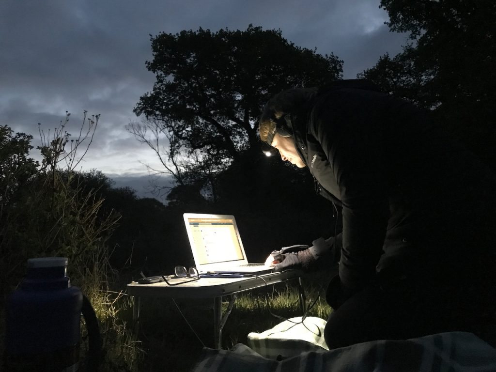 Hazel is crouching over her laptop in the Knepp scrubland before sunrise, doing some livestreaming of the dawn chorus