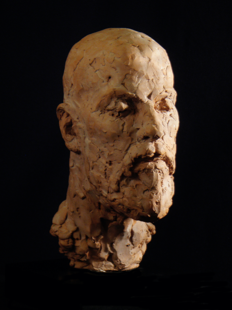 Fired clay sculpture of Daniel Marcus Clarke, with his eyes closed