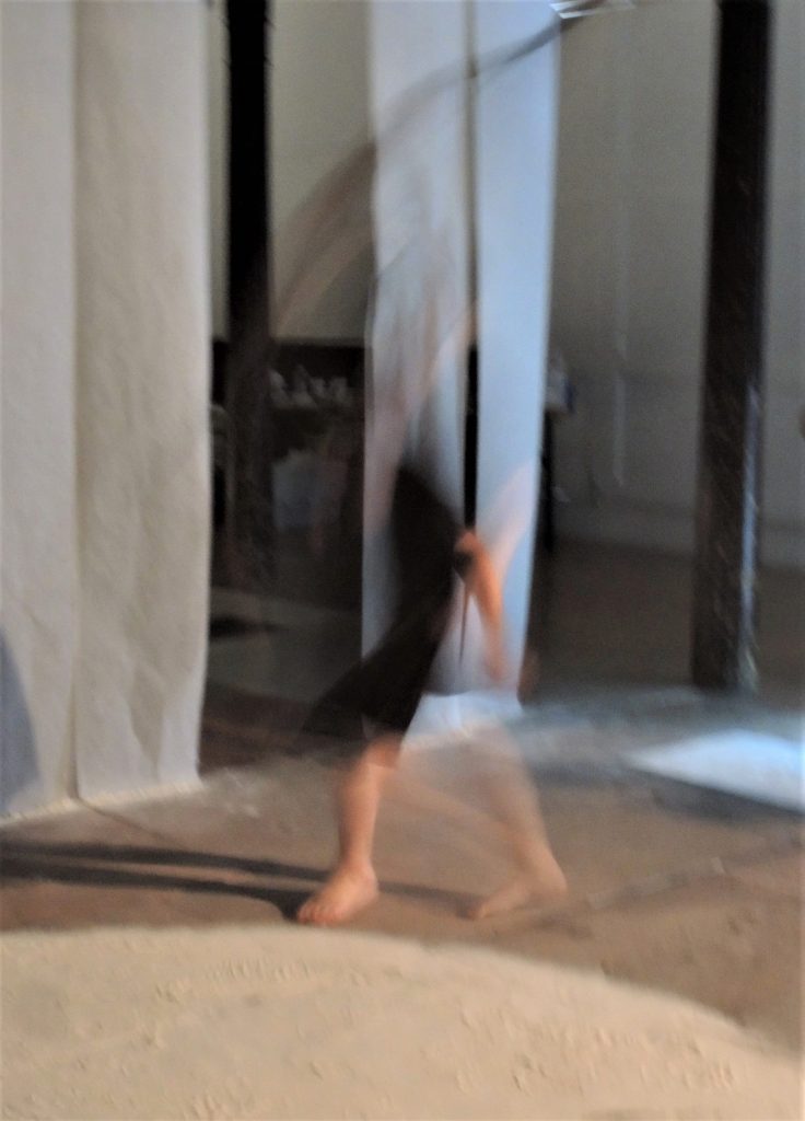 Blurred image of dancer stepping forward in a knee-length brown dress