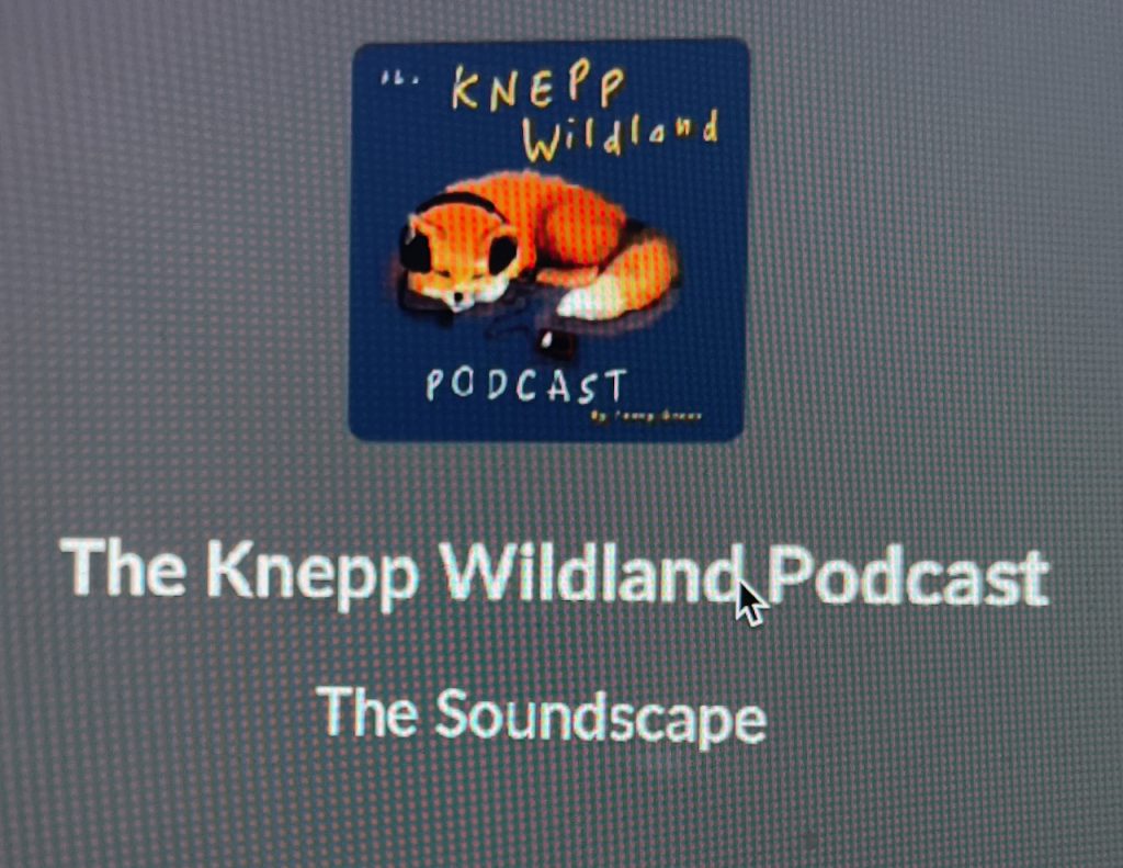 Image of the Knepp Wildland podcast