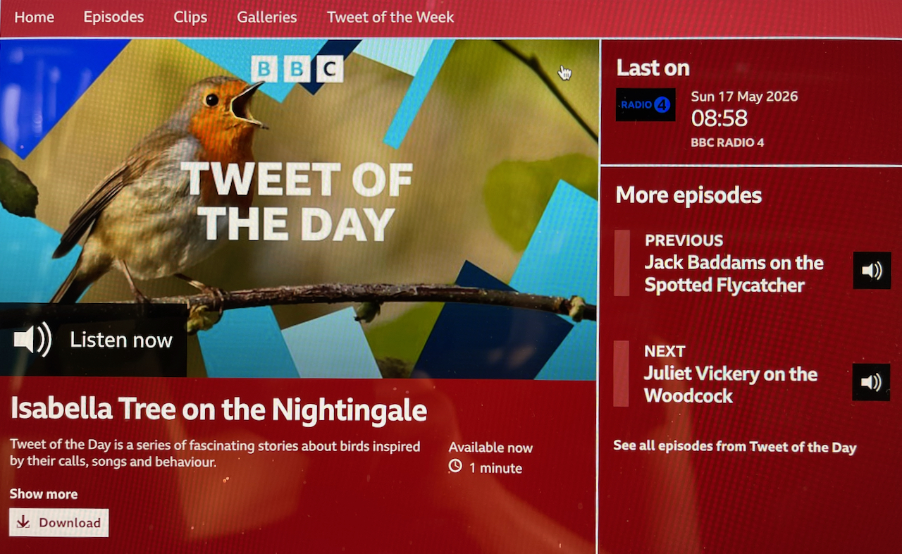 RADIO: Tweet of the Day