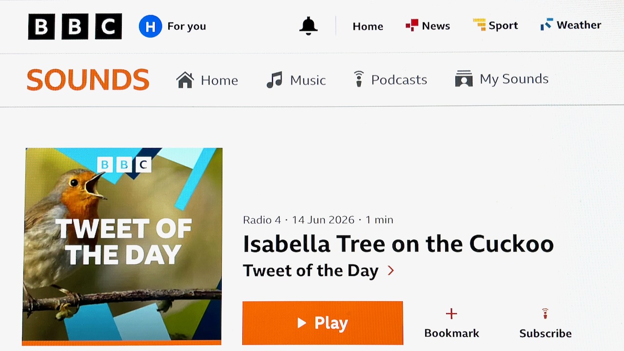 RADIO 4: Tweet of the Day, The Cuckoo